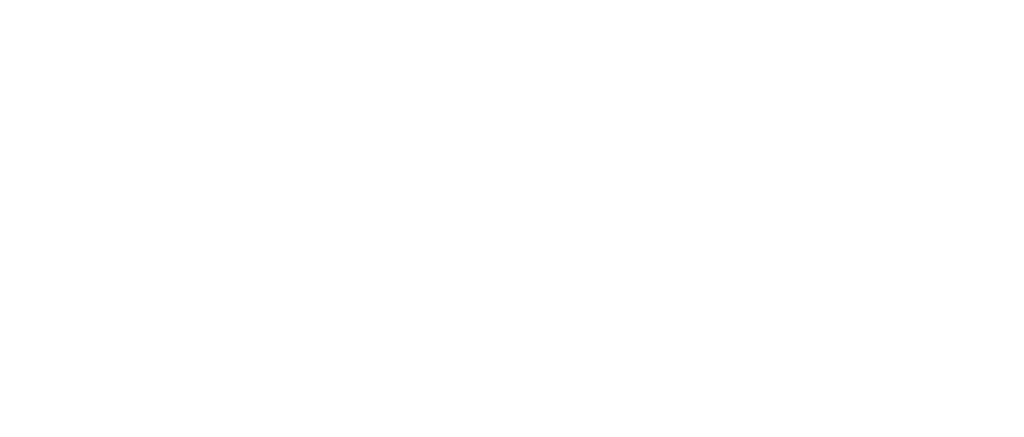 Carleton Digital logo in white